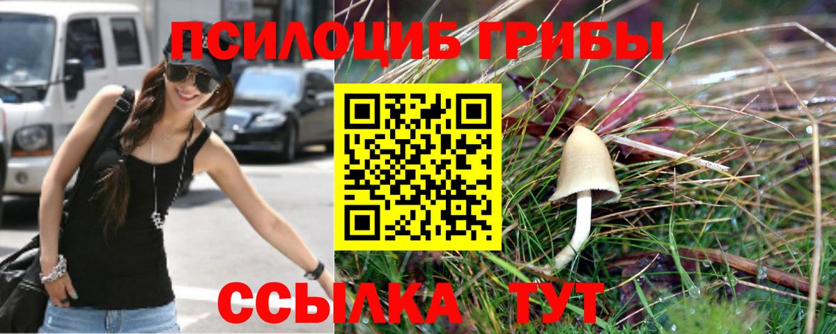 Мариинск  Галлюциногенные грибы Cubensis  Псилоцибиновые грибы MAGIC MUSHROOMS  даркнет сайт  Вход с VPN 