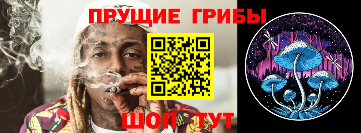 Галлюциногенные грибы Psilocybe Мариинск